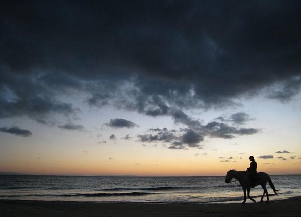 Foto de Paseos a caballo por las playas de Tarifa - Viajero y Jetlager Bosco Martin