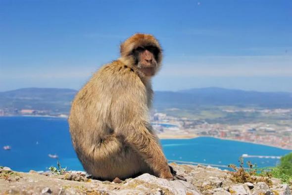Foto de Gibraltar - Viajero y Jetlager Pilipedrosamartos