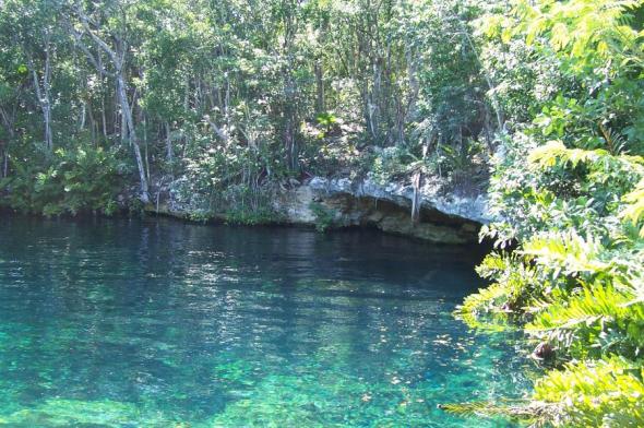Foto de cenotes - Viajero y Jetlager AMALLITA