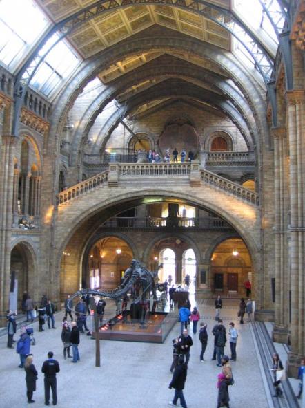 Foto de Museo de Historia Natural , Londres - Viajero y Jetlager Colleen