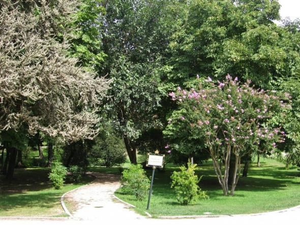 Foto de Campo del Moro : Un Jardin Real - Viajero y Jetlager Colleen