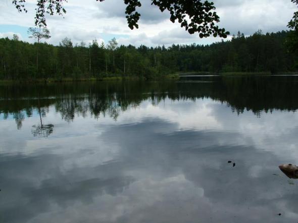 Foto de en los bosques de Belarus - Viajero y Jetlager Andres
