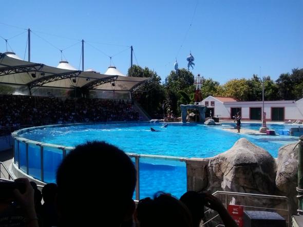 Foto de Zoo de Lisboa - Viajero y Jetlager Ana Paula