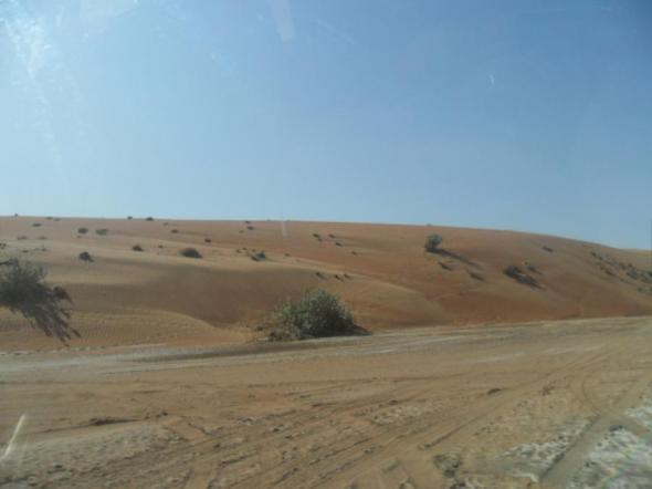 Foto de Visita de 1 da al desierto de Wahiba Sands - Viajero y Jetlager Kalea Eginko