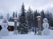 Foto 3 viaje Laponia (Finlandia) Navidades Inolvidables