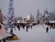 Foto 1 viaje Laponia (Finlandia) Navidades Inolvidables - Jetlager Javier