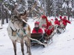 Foto 6 viaje Laponia (Finlandia) Navidades Inolvidables