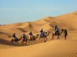 Foto 7 viaje Un paseo por el desierto de Marrakech