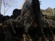 Foto 144 viaje Siem Reap y templos de Angkor