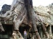 Foto 146 viaje Siem Reap y templos de Angkor