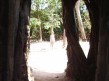 Foto 185 viaje Siem Reap y templos de Angkor