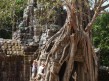 Foto 189 viaje Siem Reap y templos de Angkor