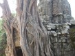 Foto 194 viaje Siem Reap y templos de Angkor