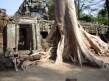Foto 251 viaje Siem Reap y templos de Angkor