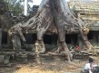 Foto 66 viaje Siem Reap y templos de Angkor