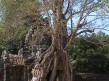 Foto 43 viaje Siem Reap y templos de Angkor
