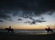 Foto 1 viaje Paseos a caballo por las playas de Tarifa