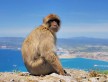 Foto 1 viaje Gibraltar - Jetlager Pilipedrosamartos