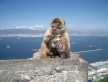 Foto 1 viaje Gibraltar - Jetlager Pilipedrosamartos