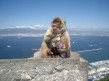 Foto 1 viaje Gibraltar