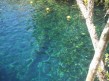 Foto 5 viaje cenotes