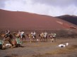 Foto 2 viaje Camellos en Lanzarote