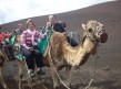 Foto 4 viaje Camellos en Lanzarote