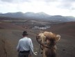 Foto 8 viaje Camellos en Lanzarote - Jetlager AMALLITA