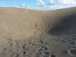 Foto 1 viaje Las dunas de Maspalomas - Jetlager AMALLITA