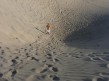 Foto 4 viaje Las dunas de Maspalomas
