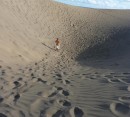 Foto 4 de Las dunas de Maspalomas