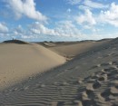 Foto 6 de Las dunas de Maspalomas