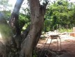 Foto 1 viaje Cenote Bal-Mil - Jetlager DEstrella