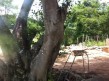 Foto 4 viaje Cenote Bal-Mil