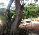 Foto 4 de Cenote Bal-Mil