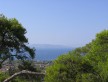Foto 3 viaje La Isla Aegina - Jetlager Colleen
