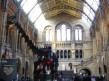 Foto 2 viaje Museo de Historia Natural , Londres