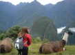 Foto 42 viaje conociendo      PERU