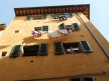 Foto 19 viaje Pisa /Florencia en 48hs