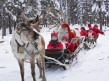 Foto 2 viaje Laponia (Finlandia) Navidades Inolvidables
