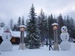 Foto 4 viaje Laponia (Finlandia) Navidades Inolvidables
