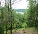 Foto 11 de en los bosques de Belarus