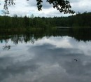 Foto 14 de en los bosques de Belarus