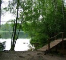 Foto 4 de en los bosques de Belarus