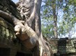 Foto 4 viaje Camboya- siemm reap