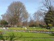 Foto 1 viaje Hyde Park y otros jardines de Londres - Jetlager Natalia