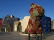 Foto 3 viaje Visitar el Museo Guggenheim de Bilbao