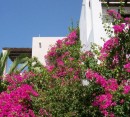 Foto 18 de 9 Muses Santorini Resort