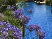 Foto 1 viaje Hotel Asia Gardens - Jetlager Carolina Hermida