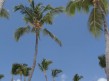 Foto 10 viaje Vacaciones en Punta Cana